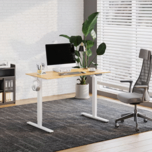 Sit Stand Desk Single Motor 120cmx60cm, 2 Stage 50Kg Load Capacity, Speed 15mm/s